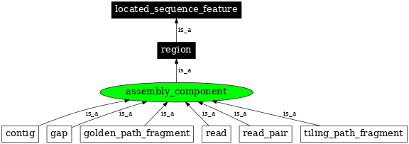 Graph image for SO:0000143