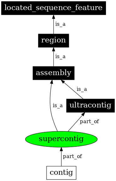 Graph image for SO:0000148