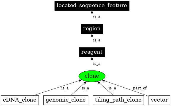 Graph image for SO:0000151