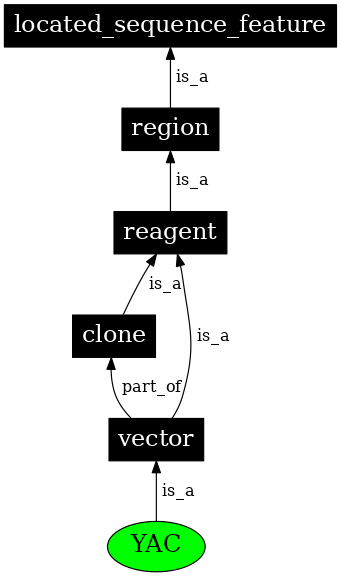 Graph image for SO:0000152
