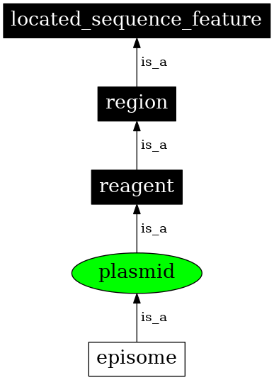 Graph image for SO:0000155