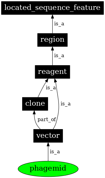 Graph image for SO:0000157