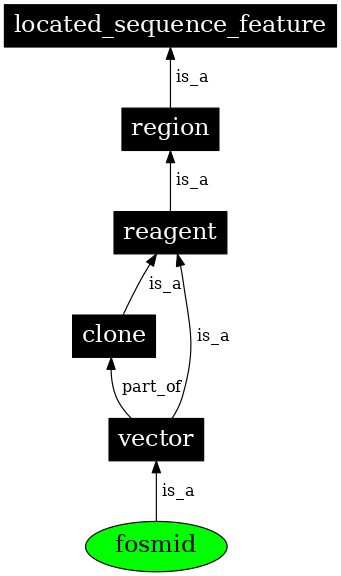 Graph image for SO:0000158
