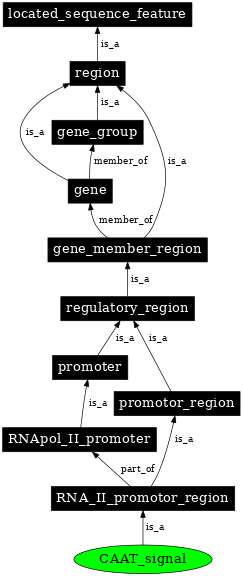 Graph image for SO:0000172