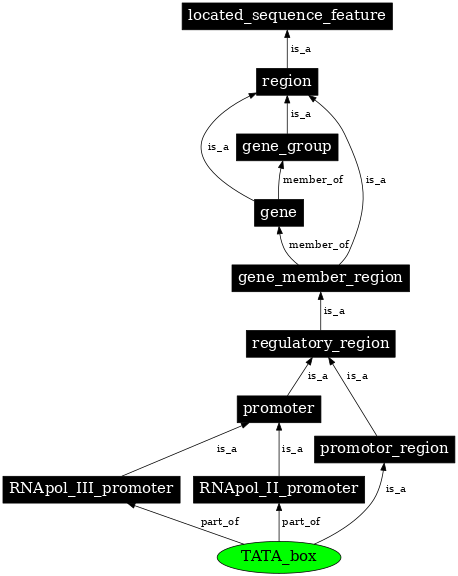 Graph image for SO:0000174