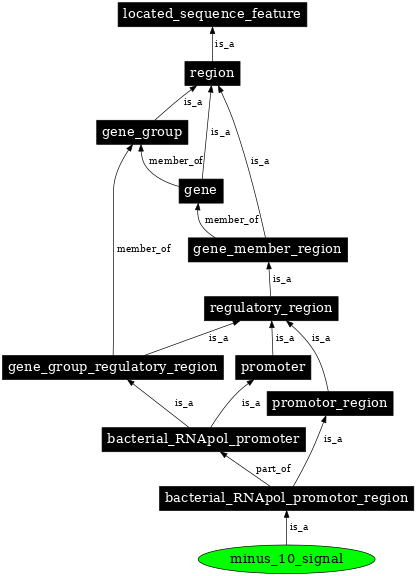 Graph image for SO:0000175