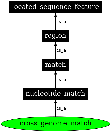 Graph image for SO:0000177