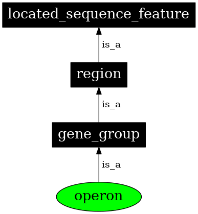 Graph image for SO:0000178