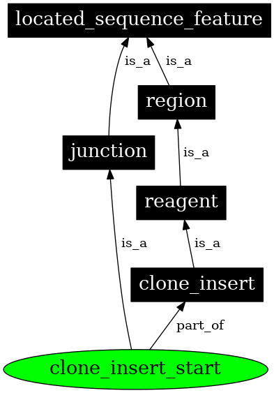 Graph image for SO:0000179