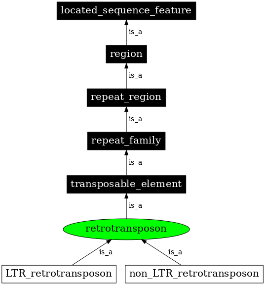 Graph image for SO:0000180