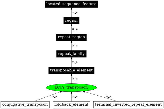 Graph image for SO:0000182