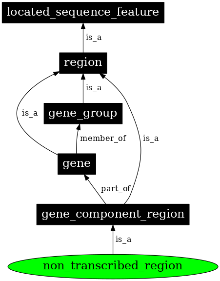 Graph image for SO:0000183