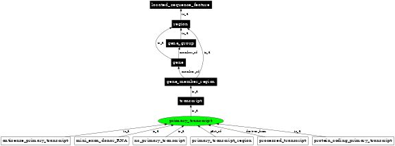 Graph image for SO:0000185