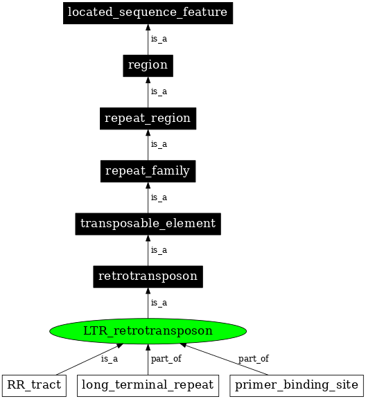 Graph image for SO:0000186