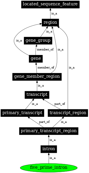 Graph image for SO:0000190