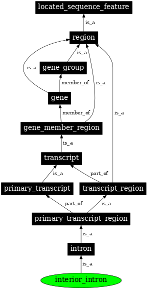 Graph image for SO:0000191