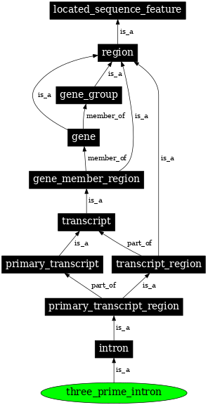 Graph image for SO:0000192
