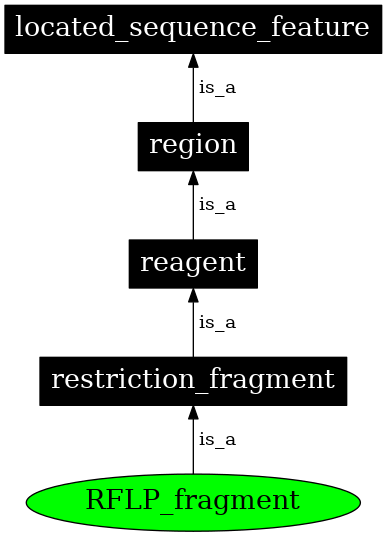 Graph image for SO:0000193