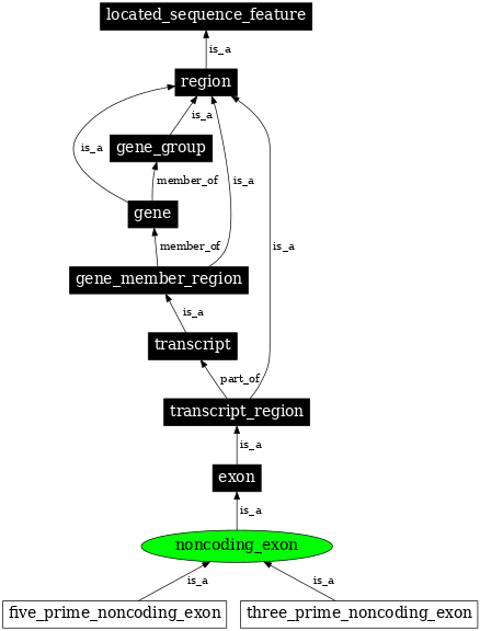 Graph image for SO:0000198