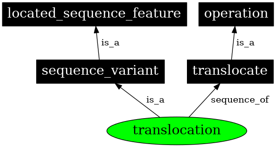 Graph image for SO:0000199