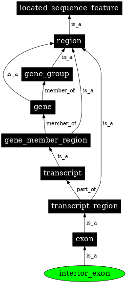 Graph image for SO:0000201