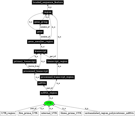Graph image for SO:0000203
