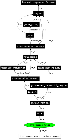 Graph image for SO:0000204