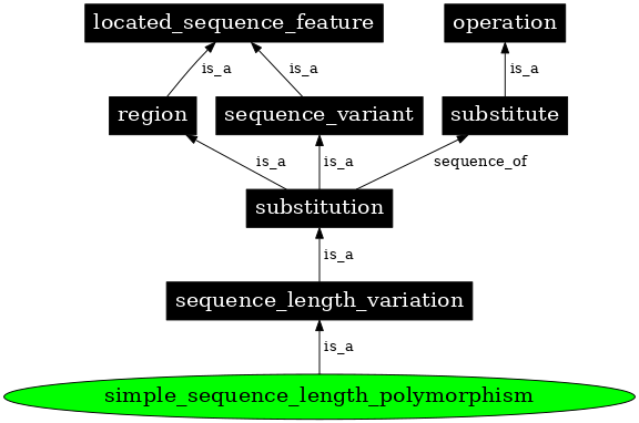 Graph image for SO:0000207