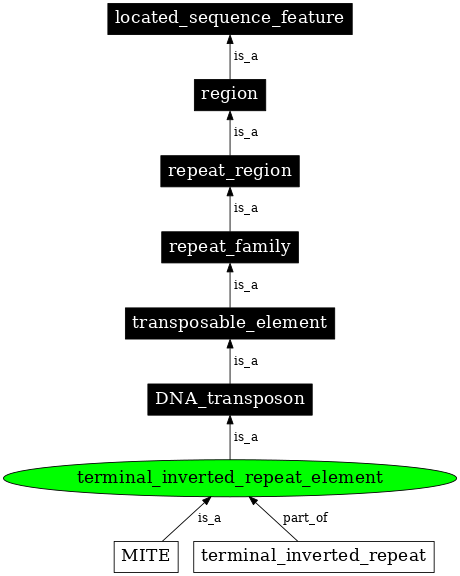 Graph image for SO:0000208