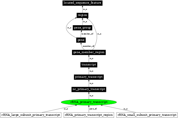 Graph image for SO:0000209
