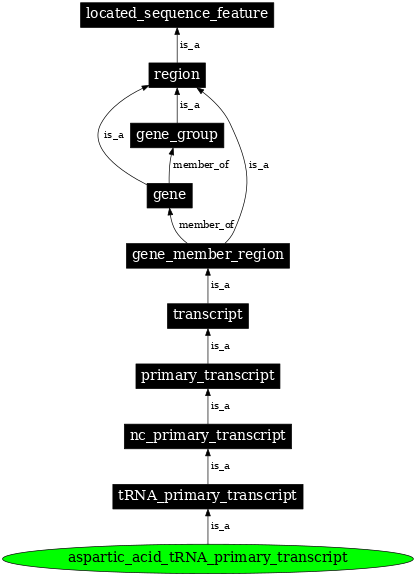 Graph image for SO:0000214