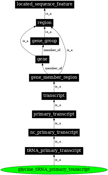 Graph image for SO:0000218