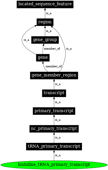 Graph image for SO:0000219