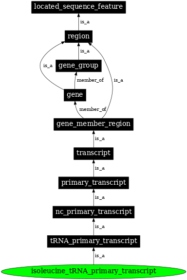 Graph image for SO:0000220