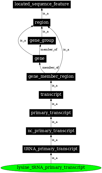 Graph image for SO:0000222