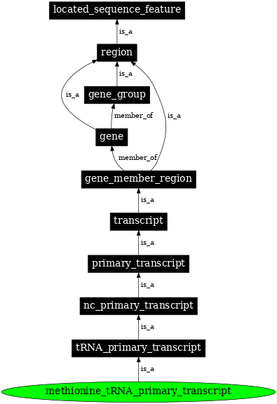 Graph image for SO:0000223