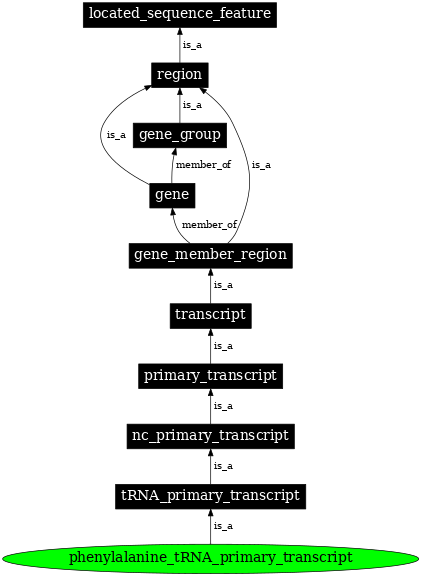 Graph image for SO:0000224