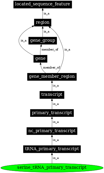 Graph image for SO:0000226