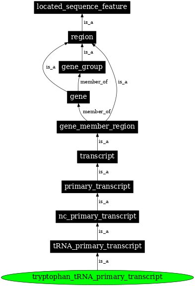 Graph image for SO:0000228