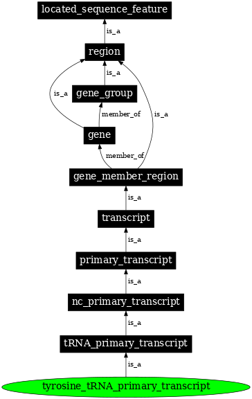Graph image for SO:0000229