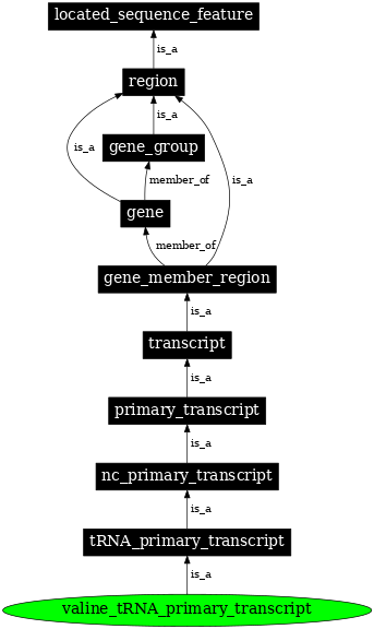 Graph image for SO:0000230