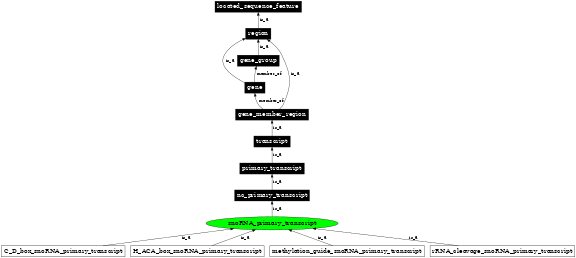 Graph image for SO:0000232
