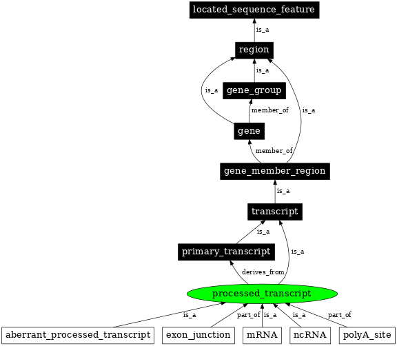 Graph image for SO:0000233