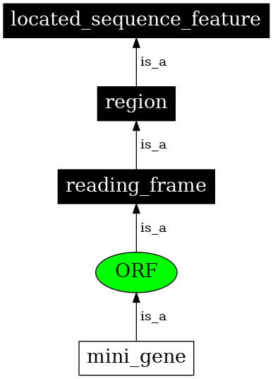 Graph image for SO:0000236