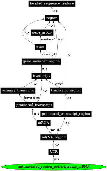 Graph image for SO:0000242