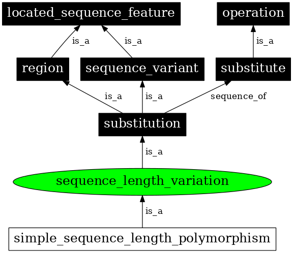 Graph image for SO:0000248