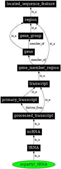 Graph image for SO:0000257