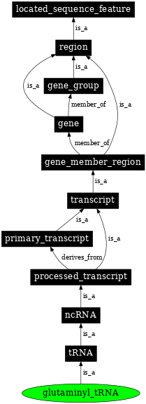 Graph image for SO:0000259