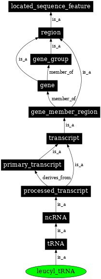 Graph image for SO:0000264