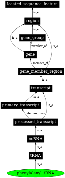 Graph image for SO:0000267